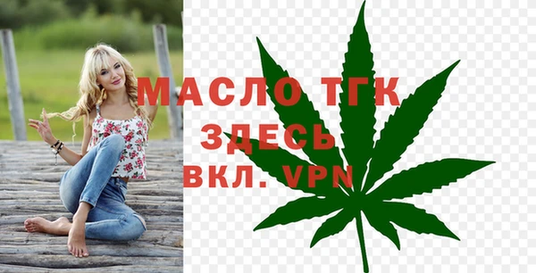 дмт Осинники