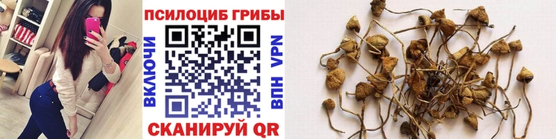 Галлюциногенные грибы мухоморы  Урень 